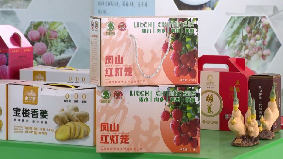 13_副本