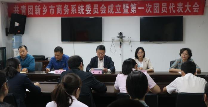 共青团新乡市商务系统委员会成立暨第一次团员代表大会召开